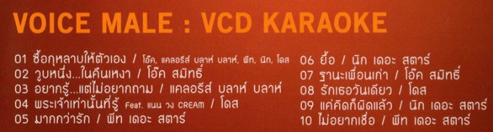 VOICE MALE -  วอยซ์ เมล VCD1441-web2